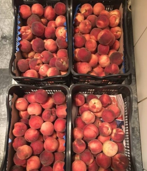 ScreenHunter_505 Sep. 03 12.10.jpg